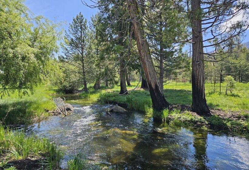 فندق The Black Forest Lodge