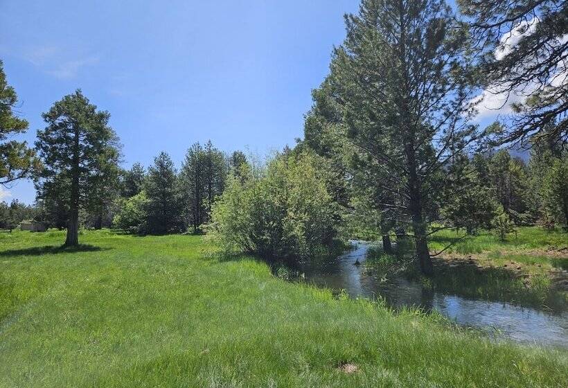 فندق The Black Forest Lodge