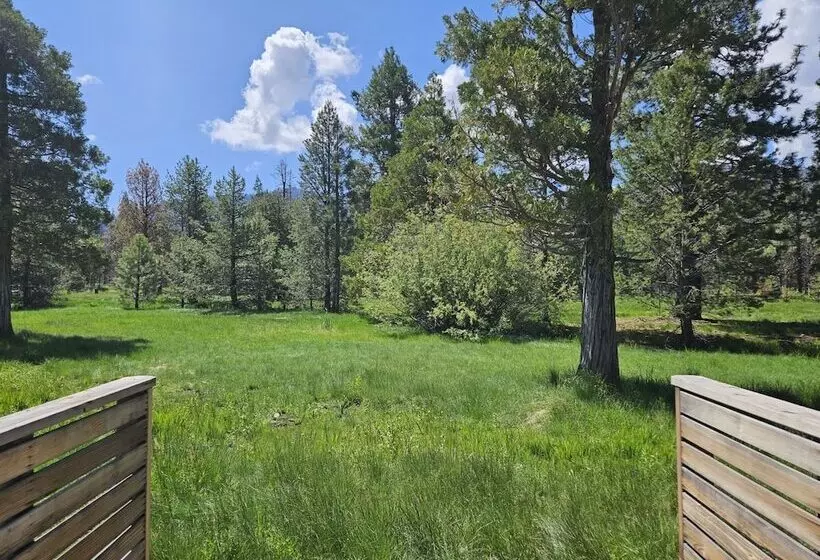 Hotelli The Black Forest Lodge