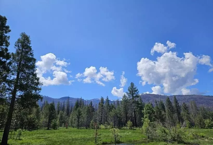 Hotelli The Black Forest Lodge