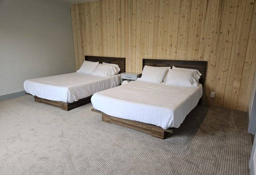 فندق The Black Forest Lodge