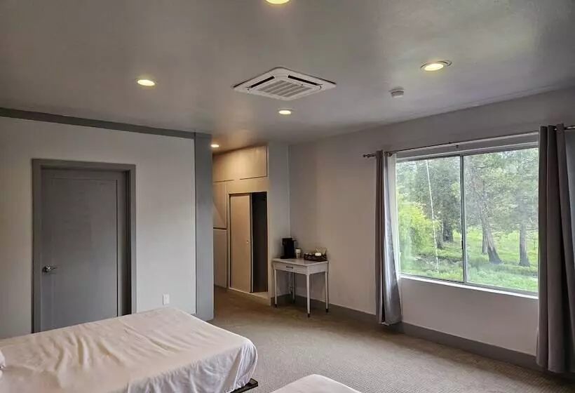 Hotelli The Black Forest Lodge