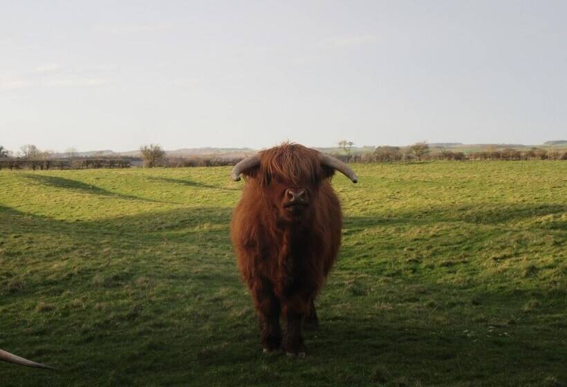 レジデンス Golden Cottage In Ellingham Northumberland