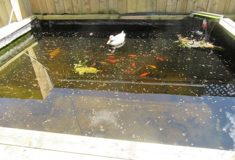 レジデンス Golden Cottage In Ellingham Northumberland