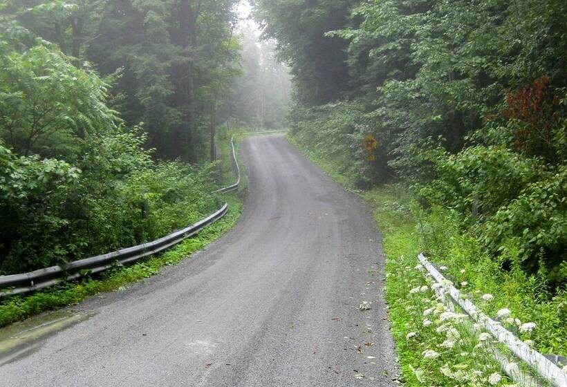 Private Dog Friendly Home: 3 Mi To Elk Mountain