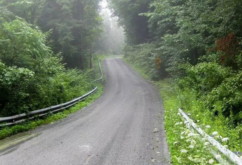 Private Dog Friendly Home: 3 Mi To Elk Mountain