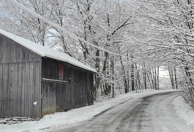 Private Dog Friendly Home: 3 Mi To Elk Mountain