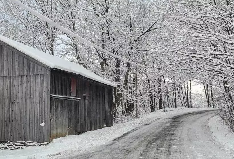 Private Dog Friendly Home: 3 Mi To Elk Mountain