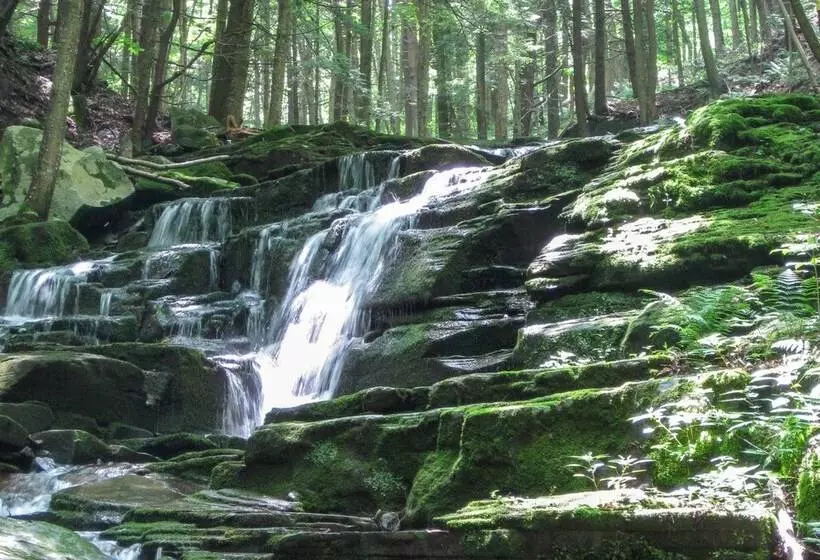 Private Dog Friendly Home: 3 Mi To Elk Mountain