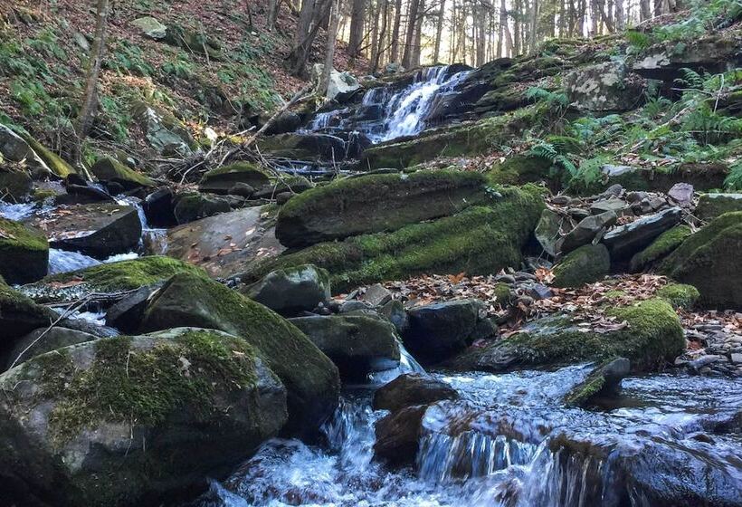 Private Dog Friendly Home: 3 Mi To Elk Mountain