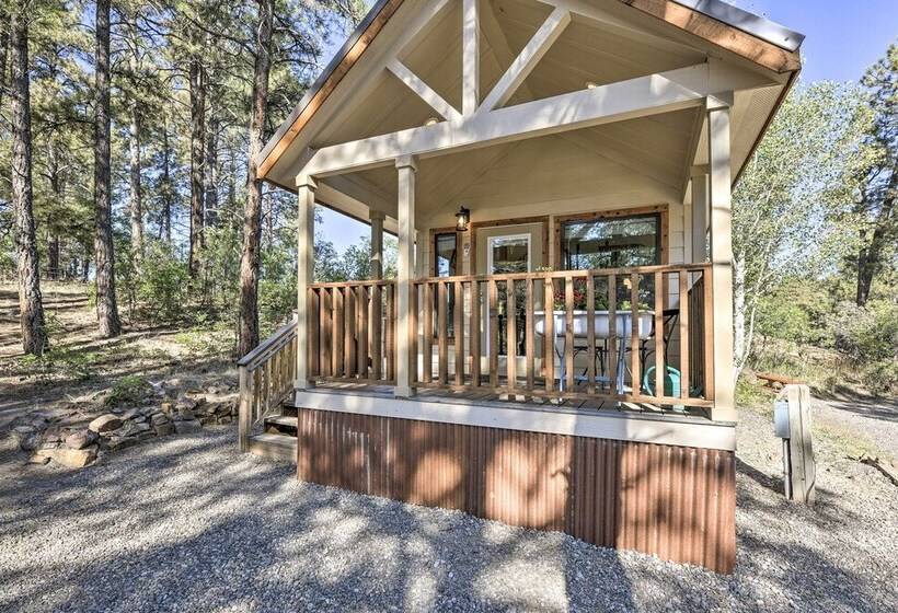 Roomy Pagosa Springs Tiny Cabin: 1 Mi To Downtown