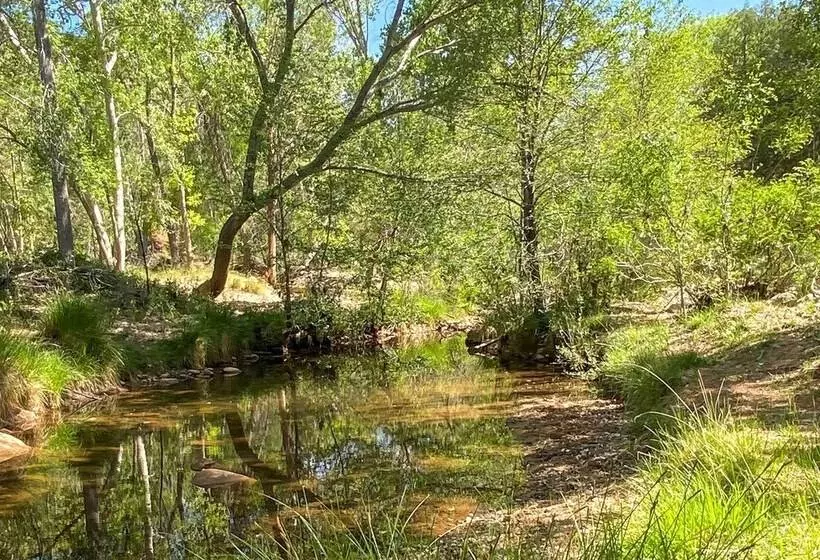 Tonto Nat L Forest Riverside Cabin!