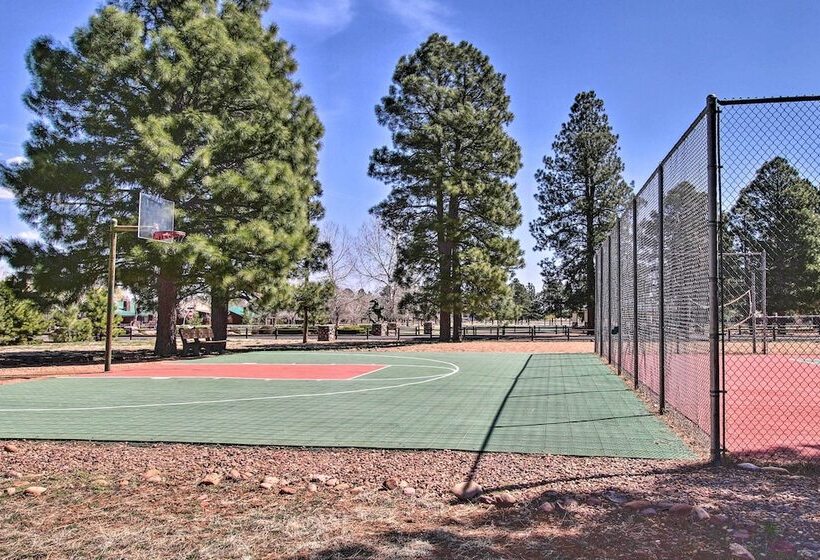 16 Mi To Sitgreaves: Overgaard Cabin W/ Porch