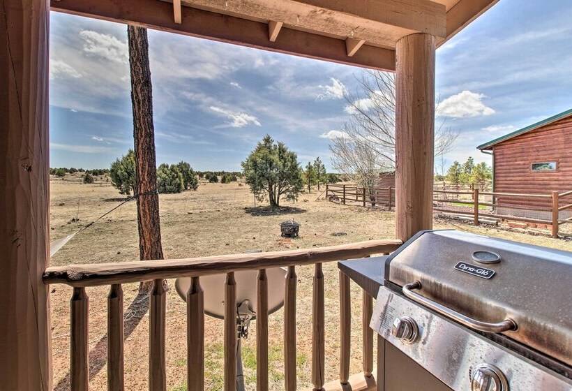 16 Mi To Sitgreaves: Overgaard Cabin W/ Porch