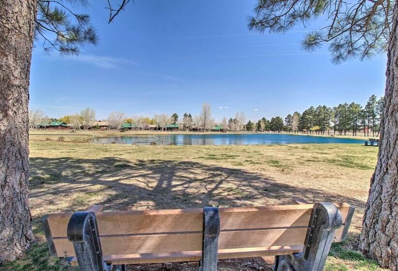 16 Mi To Sitgreaves: Overgaard Cabin W/ Porch