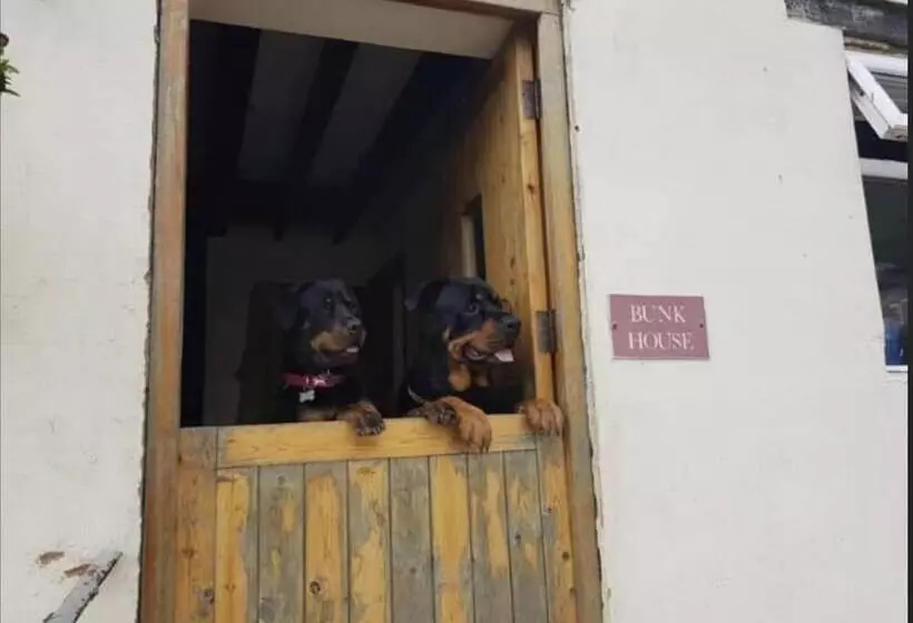 Cottage On Exmoor   Sleeps 8 & Parking