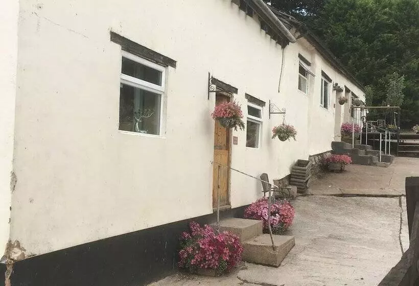 Cottage On Exmoor   Sleeps 8 & Parking