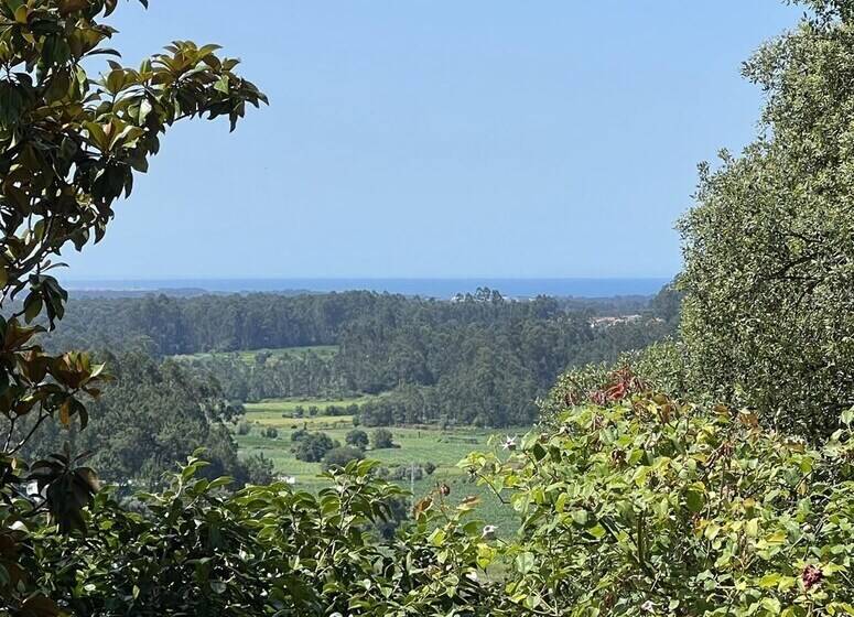 Lovely 6 Bed Cottage In Barcelos Vila Cova