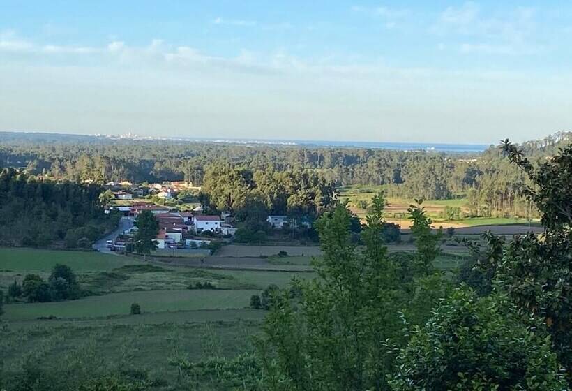 Lovely 6 Bed Cottage In Barcelos Vila Cova