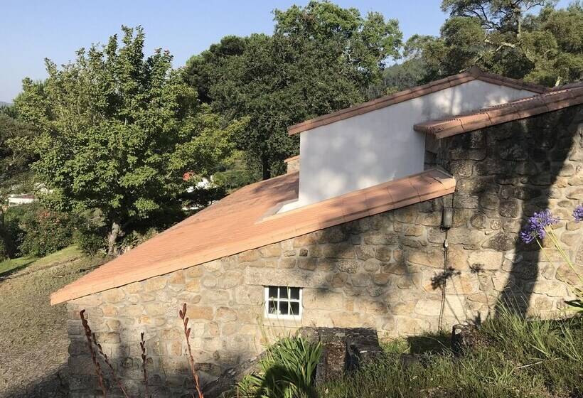 Lovely 6 Bed Cottage In Barcelos Vila Cova