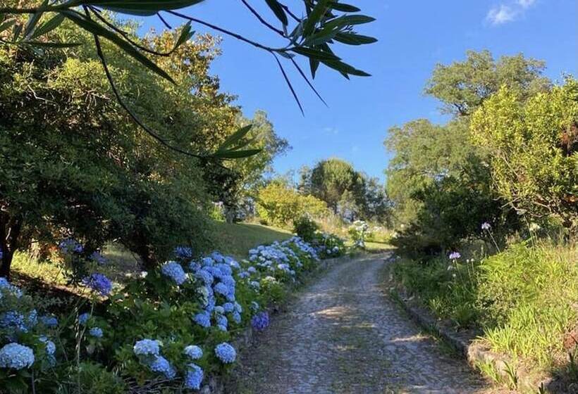 Lovely 6 Bed Cottage In Barcelos Vila Cova