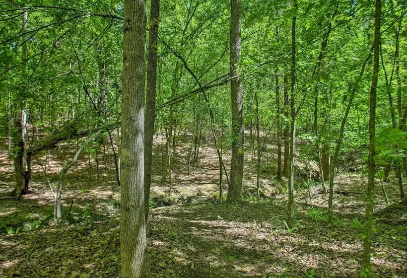 Numerous On Site Trails: Earlysville Wooded Cabin