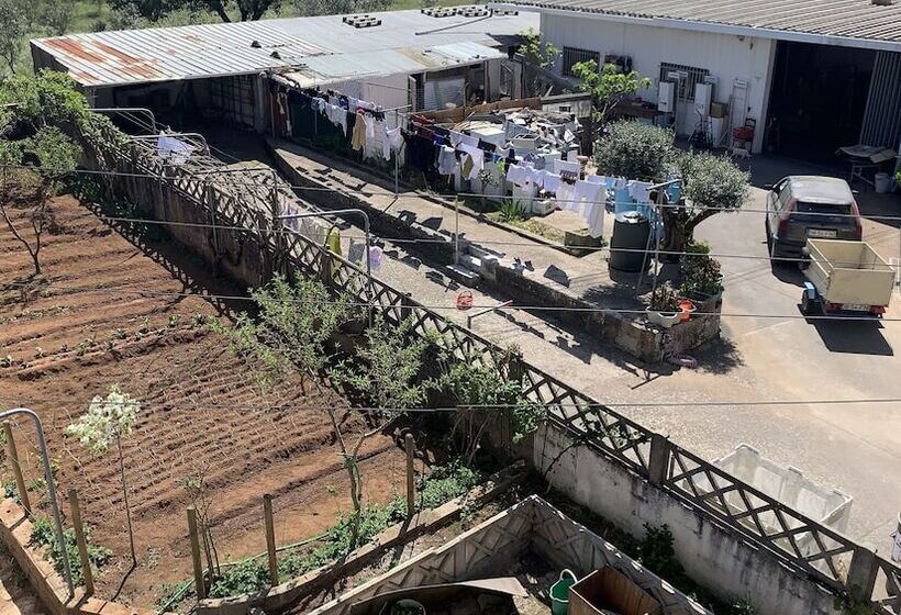 פנסיון Joes House Homestay