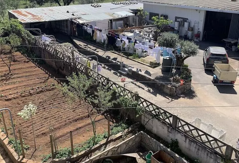 ペンション Joes House Homestay