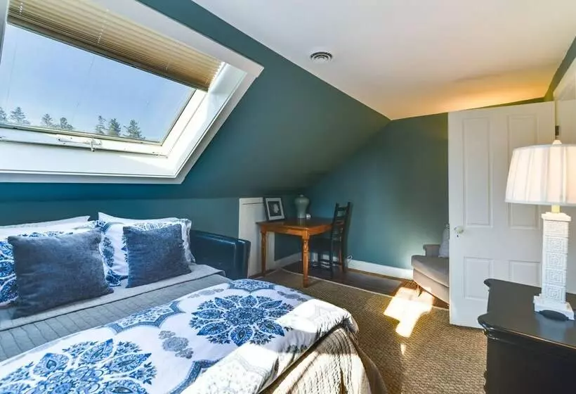 Oceanside Cape Home On The Harbor: Near Kayaking