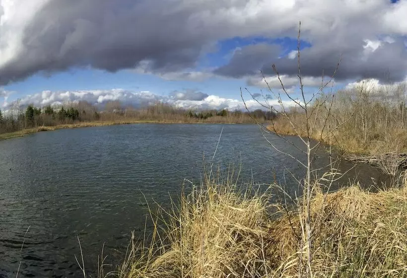 800 Acre Au Gres Oasis: 2 Ponds + Atv Trails!