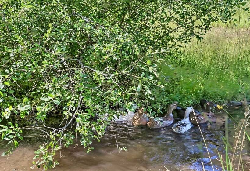 Rapid City Cabin W/ Hiking & Atv Trail Access