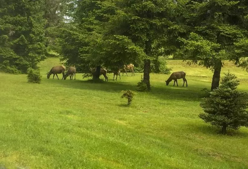 Serene South Bend Family Escape; Dogs Welcome