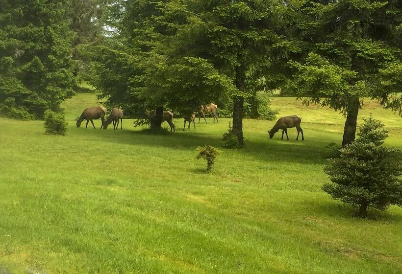 Serene South Bend Family Escape; Dogs Welcome