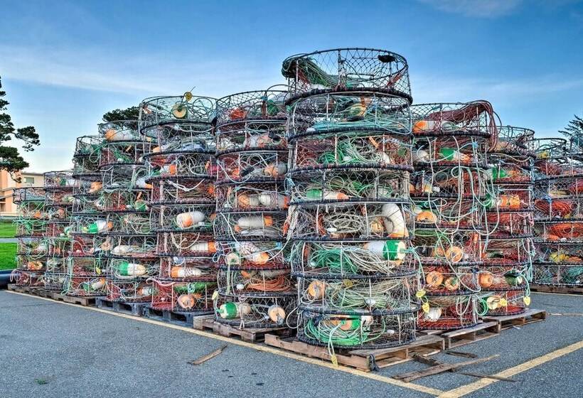 Unique Dog Friendly Log Cabin: Short Walk To Ocean