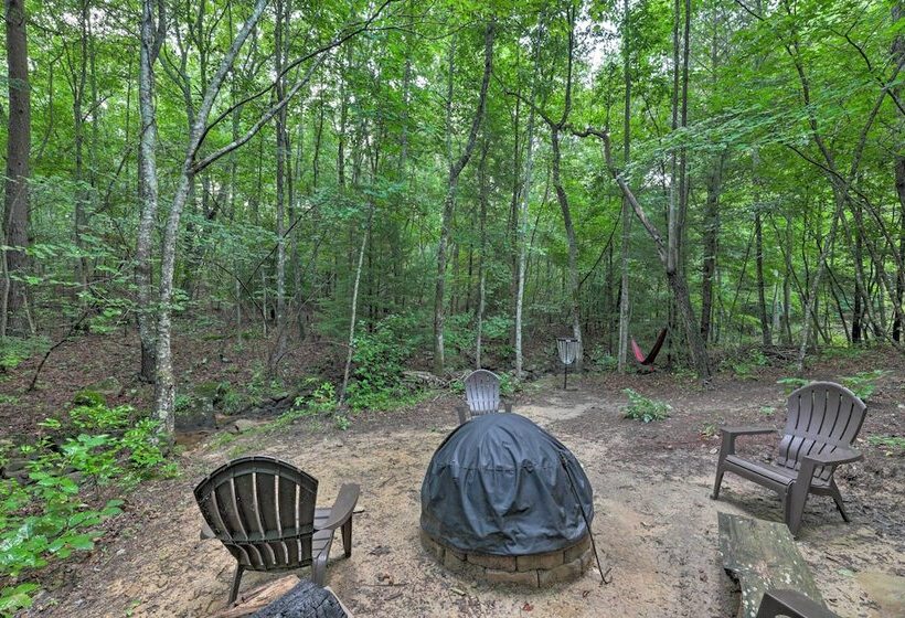 Coalmont Cabin < 10 Miles To Hiking & Fishing