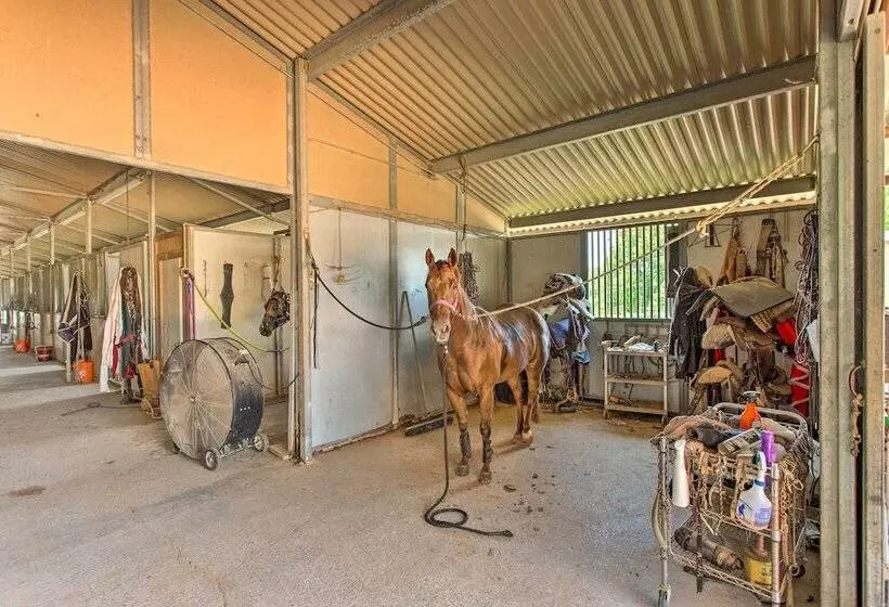 Texas Countryside Retreat On 130 Acres!