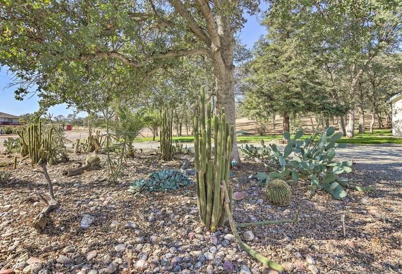 California Gem Near Wineries & Red Bluff!