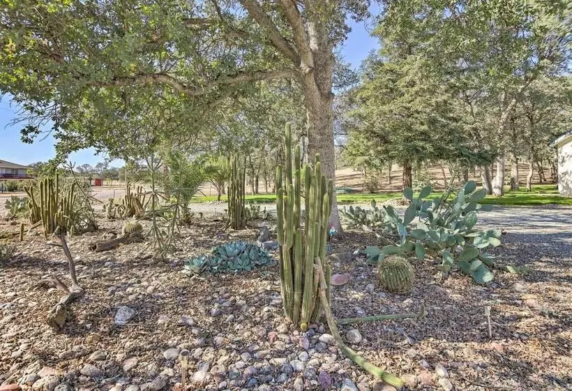 California Gem Near Wineries & Red Bluff!