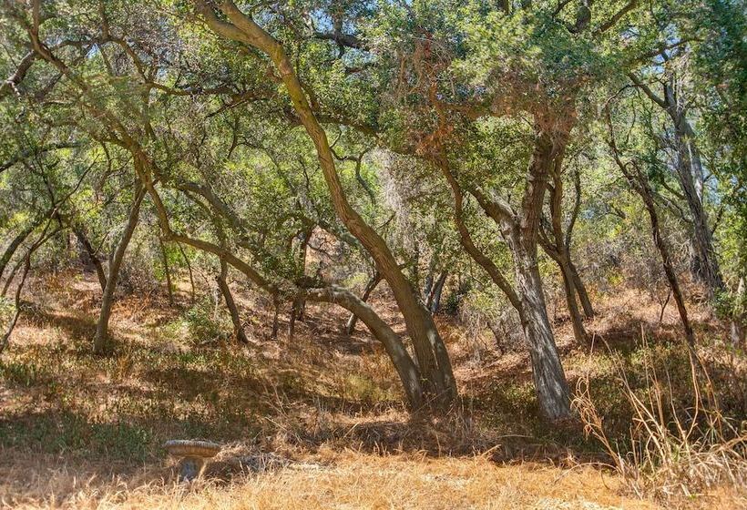 Topanga Canyon Rustic Treetop Trailer On 16 Acres!
