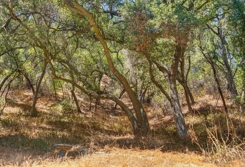 Topanga Canyon Rustic Treetop Trailer On 16 Acres!