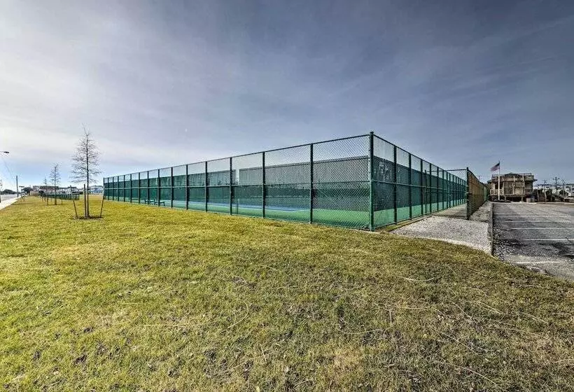 Spacious Avalon Beach House   2 Blocks To Water!