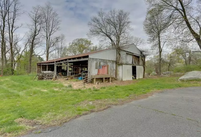 Pet Friendly Grand Pine Bush Retreat On 2 Acres!