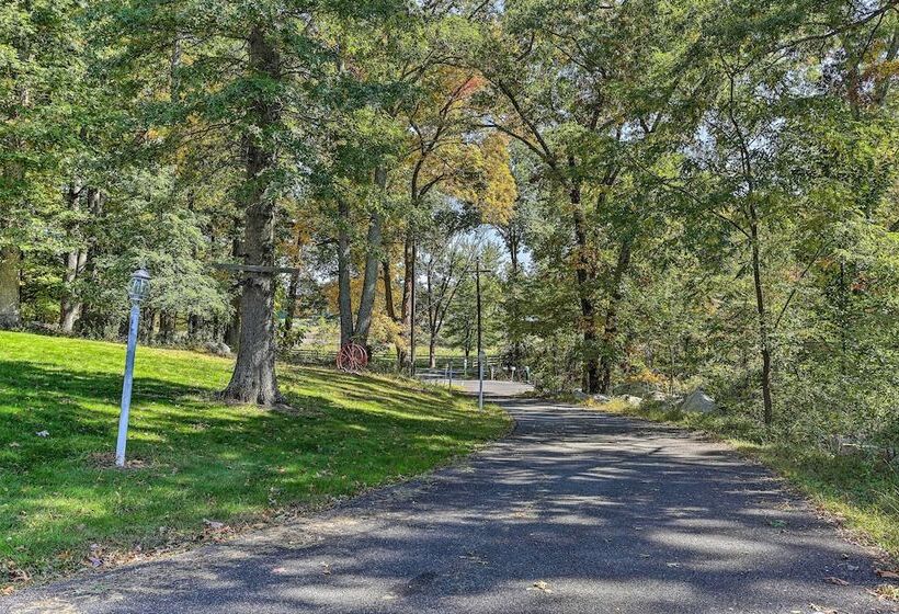 Pet Friendly Grand Pine Bush Retreat On 2 Acres!