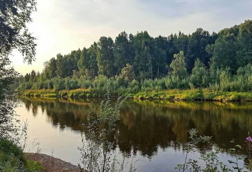 Riverside Log Cabin: On Site Aurora Viewing!
