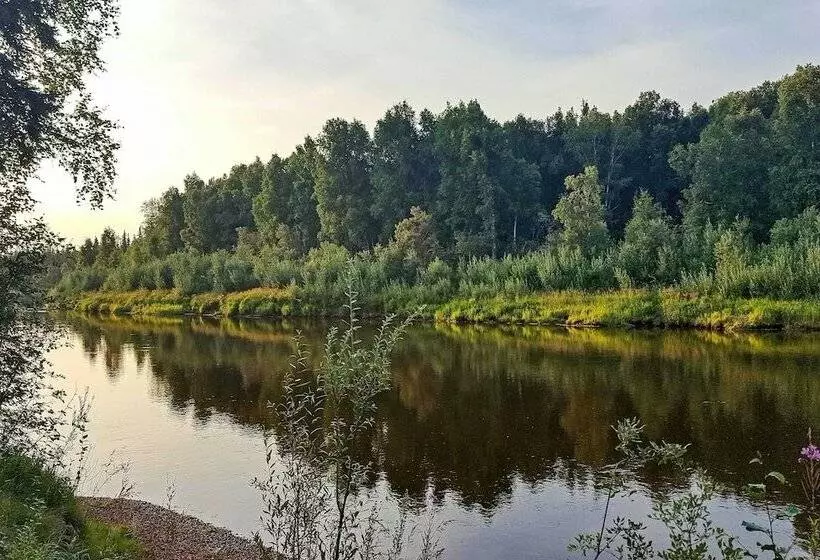 Riverside Log Cabin: On Site Aurora Viewing!
