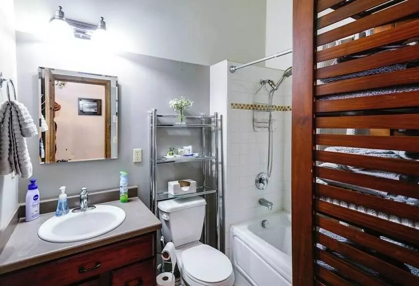 Riverside Log Cabin: On Site Aurora Viewing!