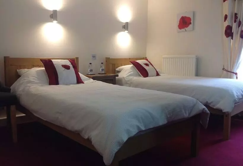 Afon Duad Inn