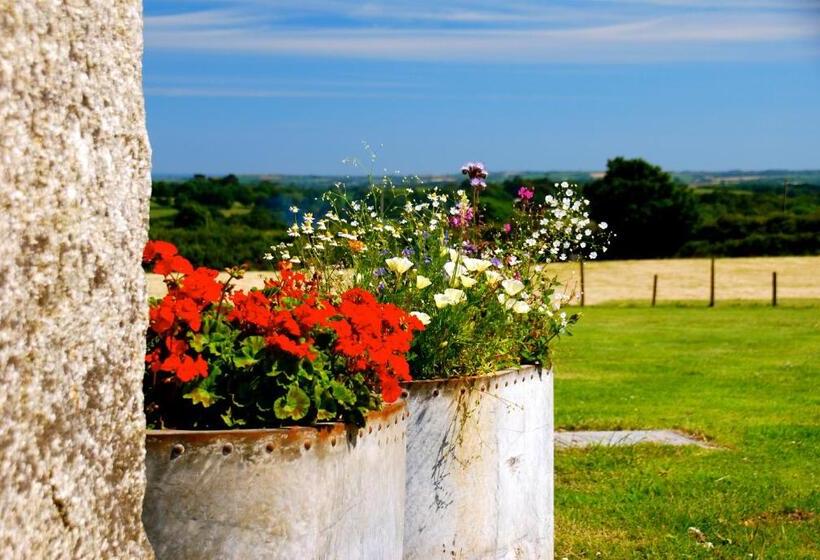 Bed and Breakfast Fig Tree House