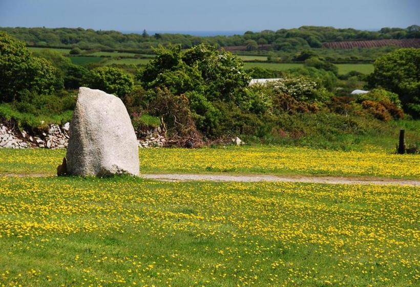 Bed and Breakfast Fig Tree House