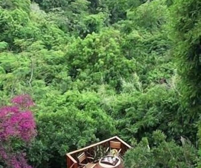 ベッドアンドブレックファースト The Loerie Hide